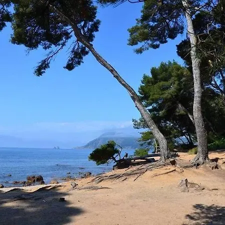 Confort H24 Navette Toulon La Seyne-sur-Mer