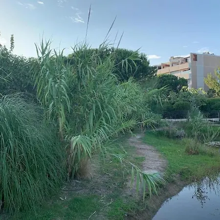 Appartement Confort H24 Navette Toulon